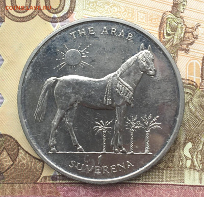 Босния и Герцеговина 1 суверен Лошадь 1997 до 16.10 в 22.00 - IMG_E1211.JPG