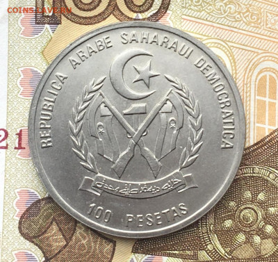 Западная Сахара 100 песет 1994 Трицератопс до 16.10 в 22.00 - IMG_E1176.JPG
