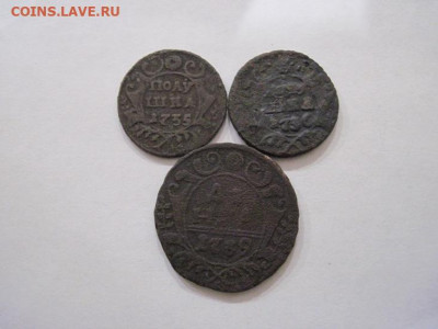 Полушка 1735,36 деньга 1739  до 16.10.24 - IMG_8152.JPG