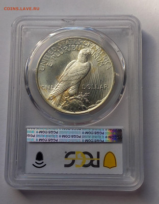 США. 1 доллар Мирный 1922 Р PCGS MS64. Серебро - 6