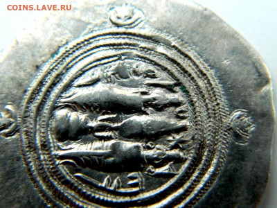 Драхма Сасаниды (?!). - DSCN2135.JPG