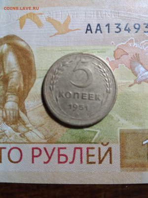 5 копеек 1951год - photo_2024-10-15_11-26-02