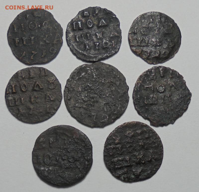 Полушки 1719-1722 гг.ВРП. 8 шт. До 20.10.2024 - 01.JPG