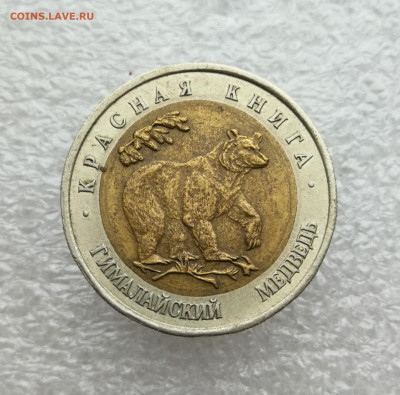 50 руб 1993г красная книга медведь до 20.10 в 22-00 - IMG_20241015_174256