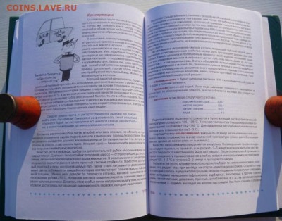 КНИГА АНТИКВАРИАТ И РЕСТАВРАЦИЯ В ДОМАШНИХ УСЛОВИЯХ - 9.JPG