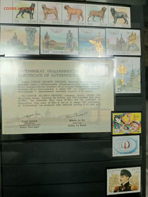 Марки и блоки 1999-2010 гг чистые более 1000 штук - IMG_20241015_184246