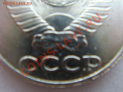 б - DSC07866.JPG