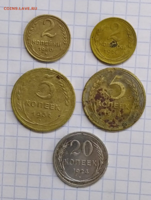 Советы 5 шт до 18.10.24г в 22 00 - 1729094952271