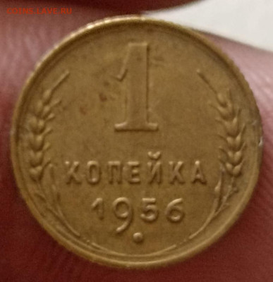 1 копейка 1956, шт. А. Оценка - IMG-20241017-WA0016