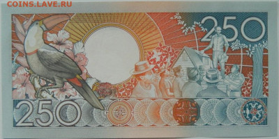 Суринам 250 гульденов 1988 г. С рубля! до 21.10.24 - DSCN2050.JPG