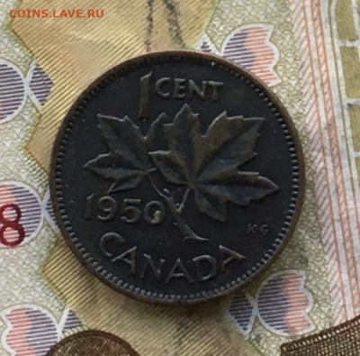 Канада 1 цент 1950 до 24.10.24 в 22.00 - IMG_E1651.JPG