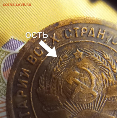 1 копейка 1925 шт. 1-24.3-11 В? - 20241018_190035