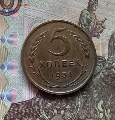 5 копеек 1931. До 24.10.24 в 22.00 - 20241020_190413