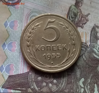 5 копеек 1955. До 24.10.24 в 22.00 - 20241020_195456