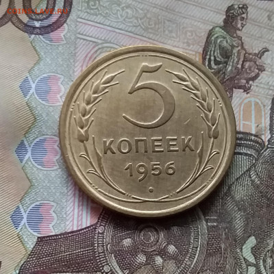 5 копеек 1956. До 24.10.24 в 22.00 - 20241020_195712