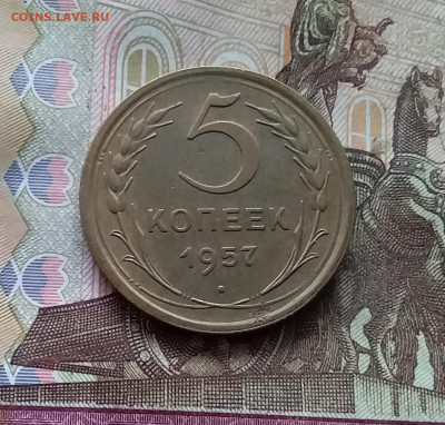 5 копеек 1957. До 24.10.24 в 22.00 - 20241020_195932