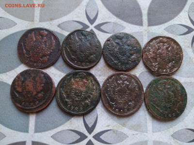 1 копейка 1818-1829, 8 штук до 24.10.2024 - 8коп (2)