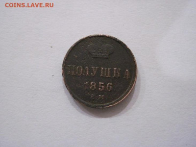 Полушка 1856 ем  до 23.10.24 - IMG_8220.JPG