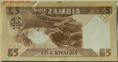 Замбия 5 квача 1988 г. С рубля! до 26.10.24 - DSCN2315.JPG