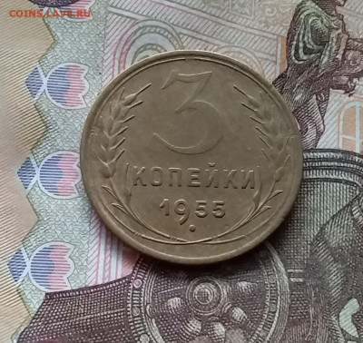 3 копейки 1955. До 25.10.24 в 22.00 - 20241021_192835