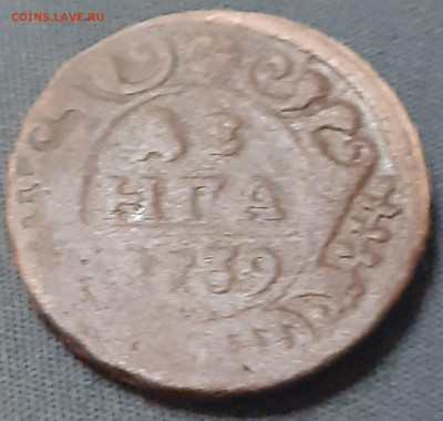 денга 1739. До 26.10.24 - 20241021_180537