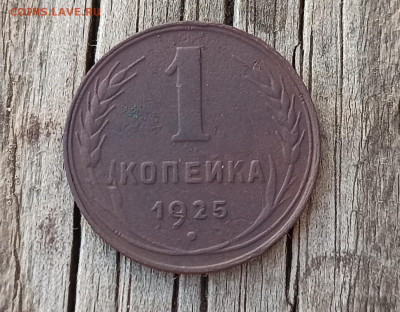1 копейка 1925г. до 23.10.24 года. 22-00мск - 1728053206846