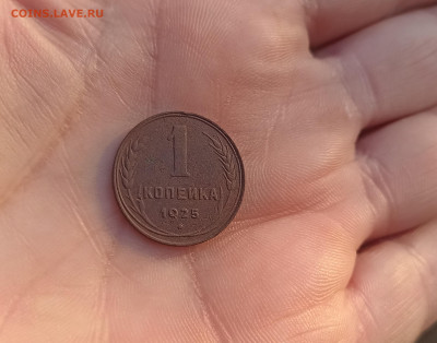 1 копейка 1925г. до 23.10.24 года. 22-00мск - 1728053206864