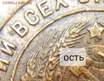 1 копейка 1925 шт. 1-24.3-11(-13) В до28.10в22:10 - 20241018_190122