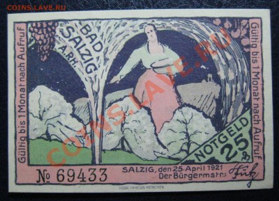 Нотгельд 25 пфенингов, Германия (Bad Salzig) - IMG_3476