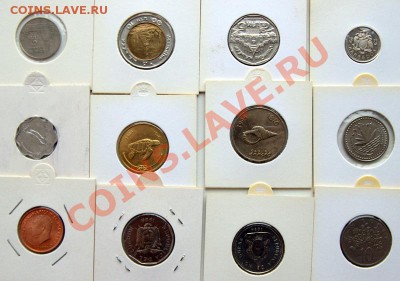 12 монет нахаляву до 21-30 1 февраля 12 года - IMG_2614.CR2