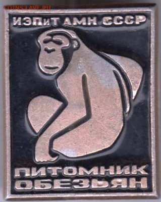 24 г. в 23.00 - 030
