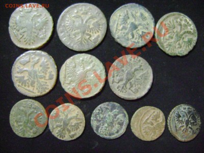 Куплю Денги и Полушки 1730-1754 гг в отличном состоянии - DSC02972.JPG