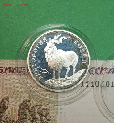 1 рубль Винторогий козел 1993  до 22:00 по МСК 30.10.24 - 20241025_114931