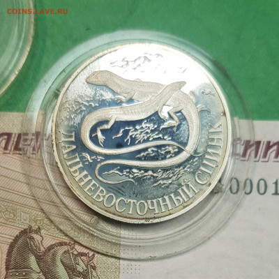 1 рубль Дальневосточный сцинк 1998 до 22:00 по МСК 30.10.24 - 20241025_114702