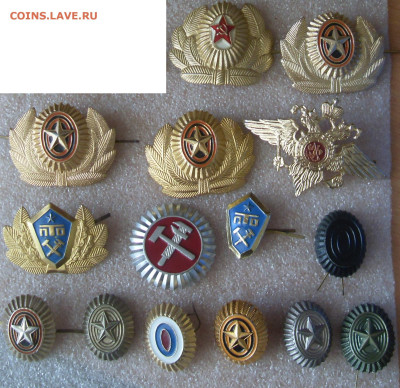шт - SDC18024.JPG