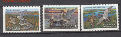 РФ 1992 утки 3м** до 31 10 - 65