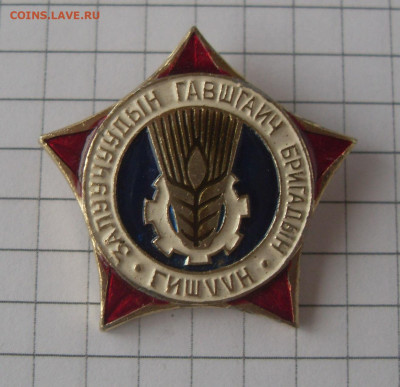 Значок Монголия. Член молодежной передовой бригады МНР до 01 - SDC18796.JPG