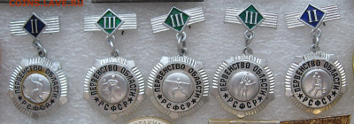 Первенство области РСФСР до 22.00  03.11.24 - IMG_0816.JPG