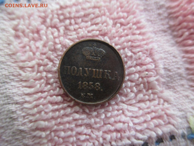 Полушка 1858 ем 30.10 - IMG_0121.JPG