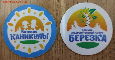 Жетоны-деньги детского оздоровительного лагеря "Березка" - IMG_20241029_225337