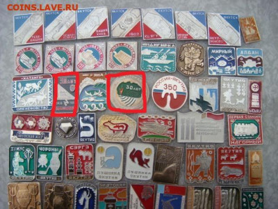 шт до 04.11.24 - 003.JPG