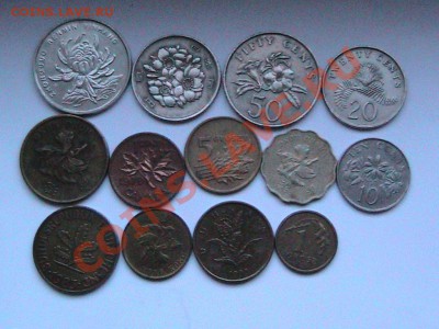 бонус при ставке 300р - IMG_1150.JPG