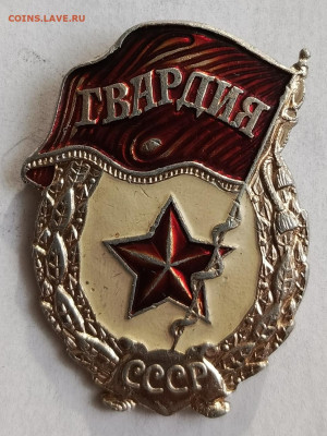 Гвардия лм. заколка до 3.11 - 1730286297486
