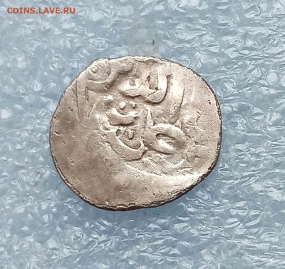 Два данга , до 04.11 в 22.00 мск - 1730197423845