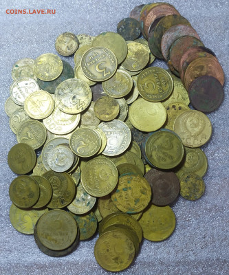 169 монет до 1961 года. До 03.11. - IMG_20241031_112252