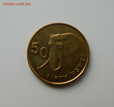 Замбия 50 нгве 2012 г. (Фауна) до 06.11.24 - DSCN2456.JPG