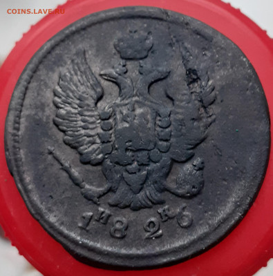 2 копейки 1826.  До 7.11.24. - 20241102_092518