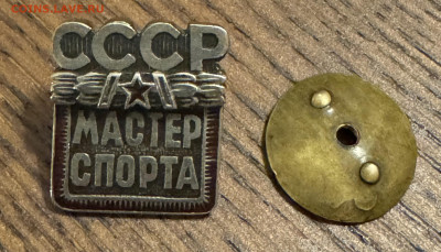 Значки разные на оценку - IMG_1689