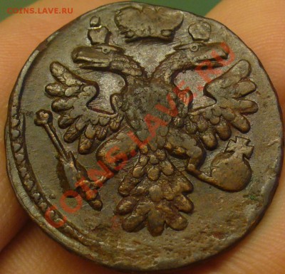 Куплю Денги,полушки 1730-1754 в качестве - P1190973.JPG