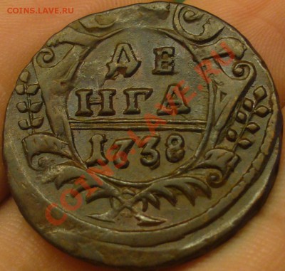 Куплю Денги,полушки 1730-1754 в качестве - P1190977.JPG